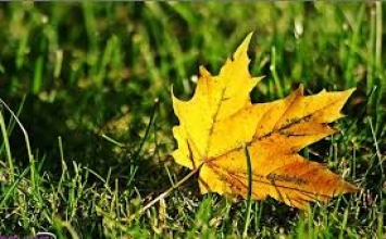 Năm yếu tố hoàn hảo